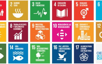 ODS: Construyendo un futuro más justo y sostenible